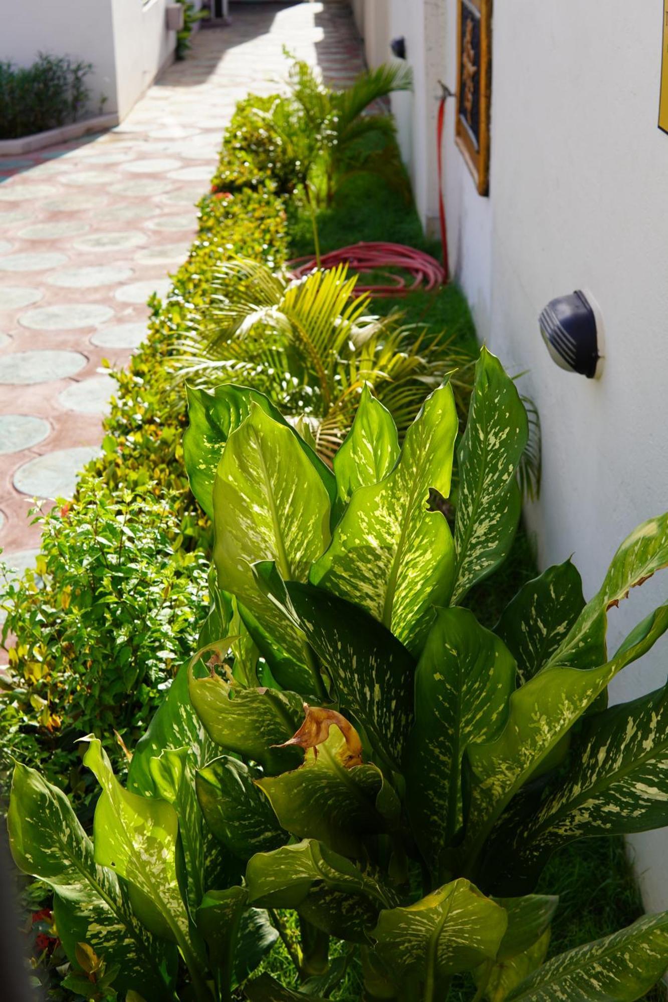 Prestige Guesthouse ,Ksi Kumasi Luaran gambar